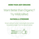 liver-detox-tea-by-speedyvite-organic-cl-6.jpg