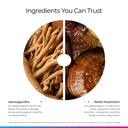 livingood-daily-stress-support-12-in-1-s-5.jpg