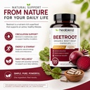 healbend-organic-beet-root-capsules-1300-3.jpg