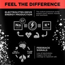 lmnt-sparkling-electrolyte-drink-waterme-3.jpg