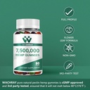 organic-hemp-gummies-high-potency-for-pa-6.jpg