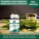 organic-hemp-gummies-high-potency-for-pa-2.jpg