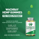 3-packs-organic-hemp-gummies-7-500-000-h-3.jpg