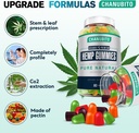 hemp-gummies-for-pain-sleep-anxiety-100--2.jpg