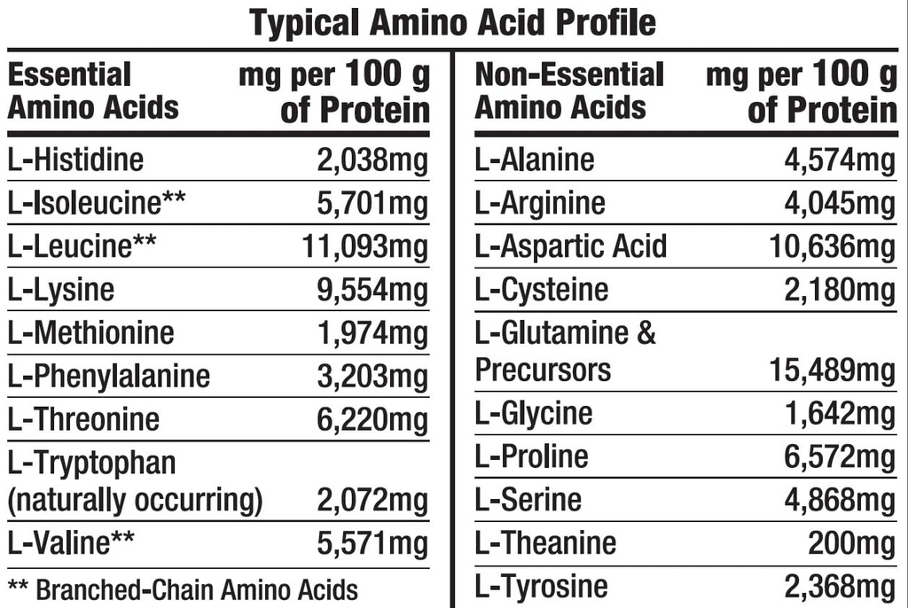 healthy-n-fit-100-whey-pro-amino-v2-0-ch-4.jpg