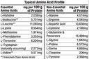 healthy-n-fit-100-whey-pro-amino-v2-0-ch-4.jpg