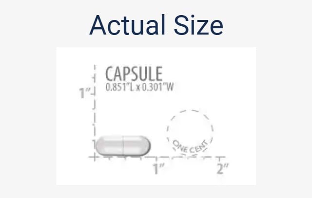 life-extension-enhanced-super-digestive--3.jpg