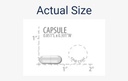 life-extension-enhanced-super-digestive--3.jpg