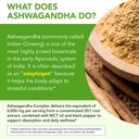 zodenis-ashwagandha-supplements-for-wome-5.jpg