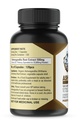 ashwagandha-supplements-500-mg-ashwagand-2.jpg