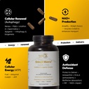 clinical-mitochondrial-complex-shilajit--3.jpg