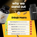 clinical-mitochondrial-complex-shilajit--4.jpg