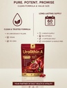 urolithin-a-supplement-12-in-1-formula-f-2.jpg