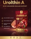 urolithin-a-supplement-12-in-1-formula-f-5.jpg