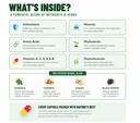 moringa-capsules-pure-moringa-oleifera-p-6.jpg