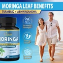 cadane-moringa-extract-capsules-3-months-4.jpg