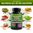 turmeric-curcumin-moringa-supplement-gin-3.jpg