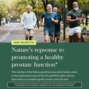 gaia-herbs-saw-palmetto-supports-healthy-5.jpg