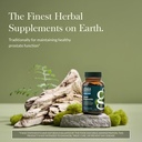 gaia-herbs-saw-palmetto-supports-healthy-2.jpg