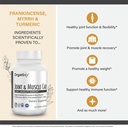 organixx-joint-muscle-care-organic-turme-4.jpg