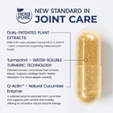 joint-complex-turmeric-supplement-turmac-4.jpg
