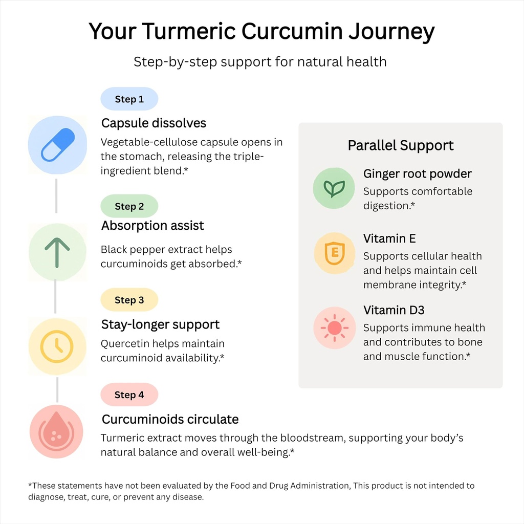 livingrock-turmeric-curcumin-1300mg-trip-6.jpg