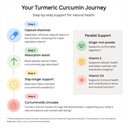livingrock-turmeric-curcumin-1300mg-trip-6.jpg