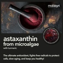 organic-astaxanthin-12mg-plus-turmeric-1-5.jpg