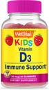 wellyeah-vitamin-d3-kids-vitamin-b12-kid-2.jpg