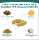 nature-s-nectar-migraine-prevention-feve-4.jpg