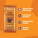 feel-vegan-protein-bars-sunbutta-choco-c-4.jpg