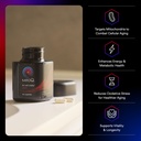 mitoq-pure-advanced-mitochondria-supplem-2.jpg