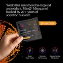 mitoq-longevity-cellular-water-daily-pow-5.jpg