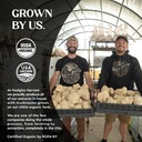 hodgins-harvest-organic-lion-s-mane-frui-2.jpg