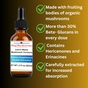 lion-s-mane-tincture-high-potency-double-3.jpg