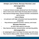lion-s-mane-shilajit-ashwagandha-bacopa--4.jpg