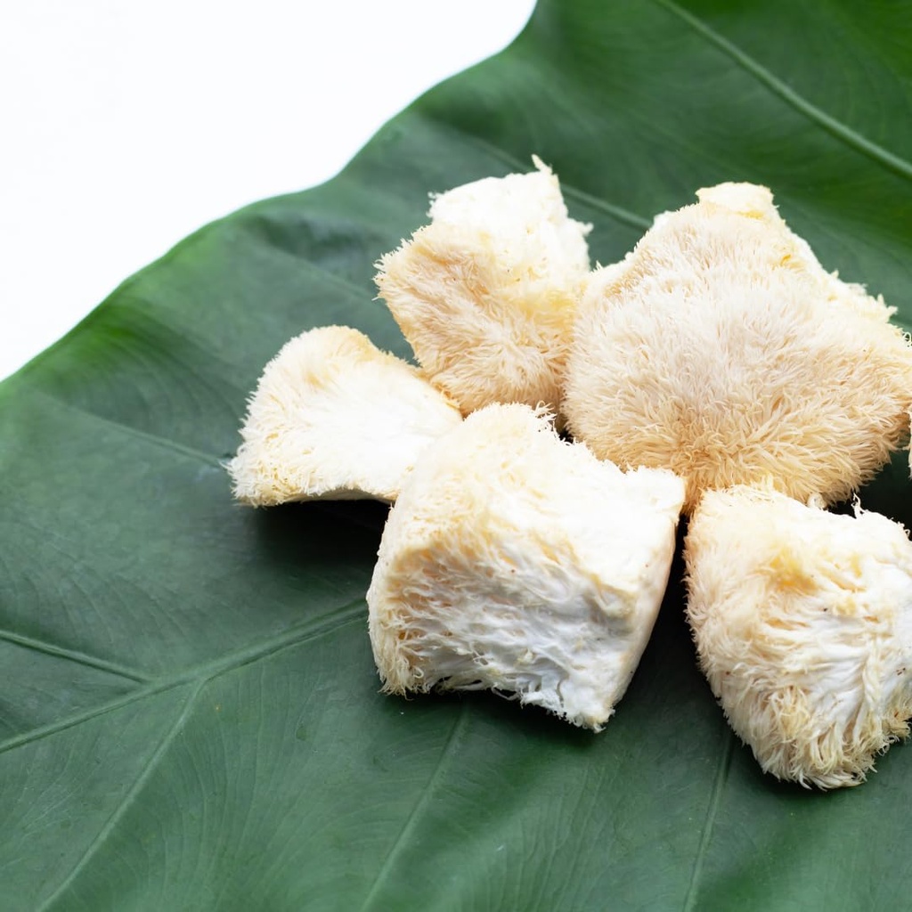 jovvily-lion-s-mane-mushroom-extract-1-l-4.jpg