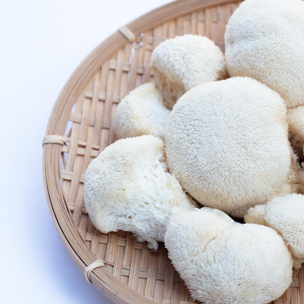 jovvily-lion-s-mane-mushroom-extract-1-l-3.jpg