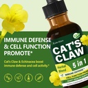 cat-s-claw-herb-u-a-de-gato-immune-suppo-2.jpg
