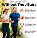 pure-oyster-extract-supports-energy-immu-3.jpg