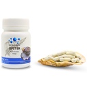 new-zealand-oyster-extract-powder-500mg--3.jpg