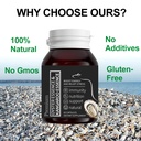 oyster-extract-for-men-oyster-essence-ka-4.jpg
