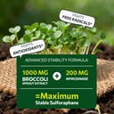 sulforaphane-supplement-from-broccoli-sp-4.jpg