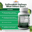 sulforamax-30-capsules-sulforaphane-broc-4.jpg
