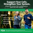 sulforamax-30-capsules-sulforaphane-broc-2.jpg