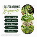 sulforaphane-complex-400mg-dim-supplemen-3.jpg