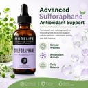 liquid-large-drops-quick-absorption-supp-2.jpg