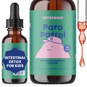 joyspring-kids-daily-brain-routine-ginkg-3.jpg