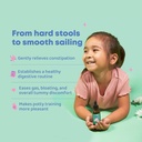 joyspring-kids-daily-brain-routine-ginkg-6.jpg