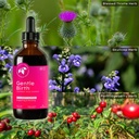 mountain-meadow-herbs-gentle-birth-for-b-5.jpg